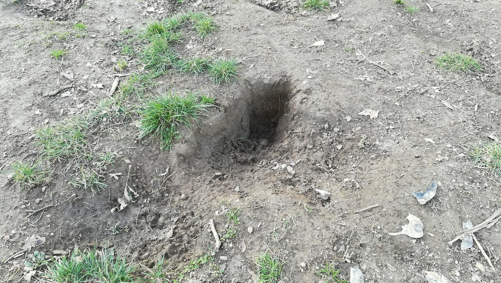 area_cani (2) - Copia.jpg