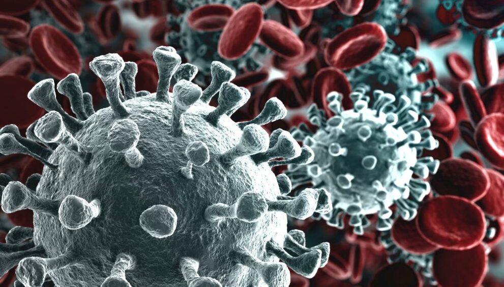 corona-virus.jpg