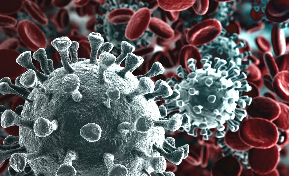 corona-virus.jpg