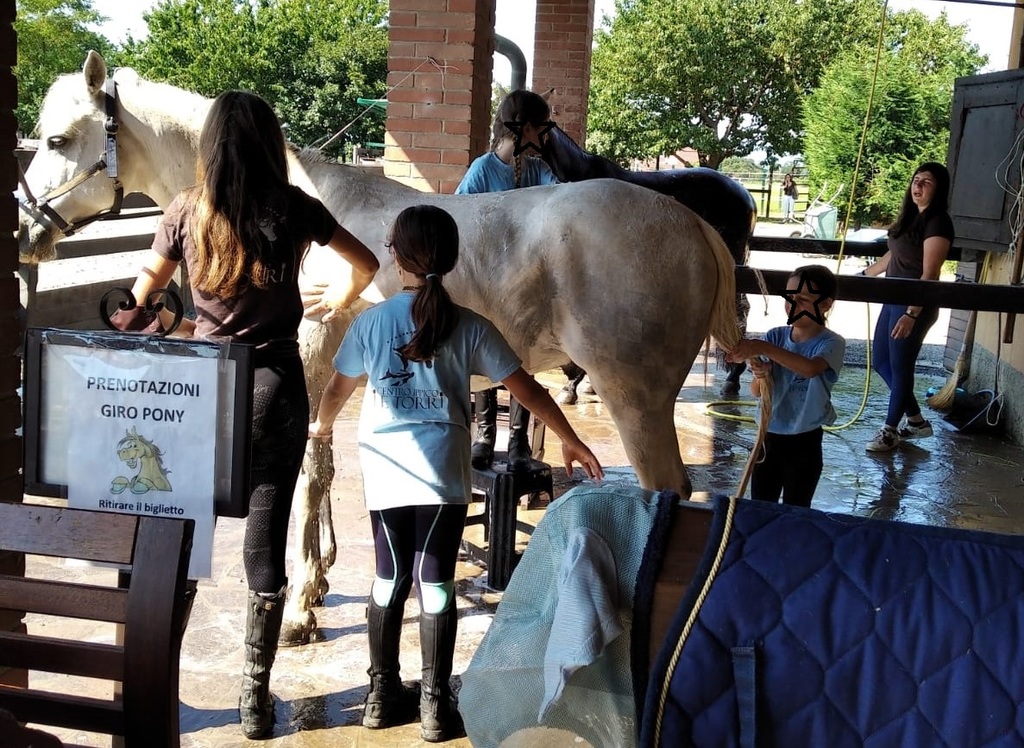 camp equitazione.jpeg