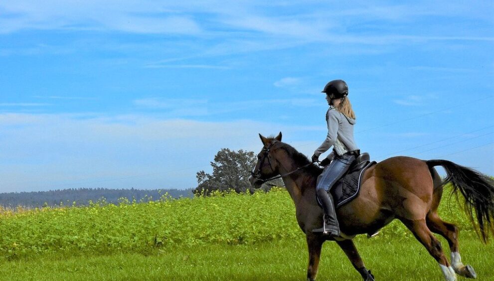 ride-4564859_1280.jpg