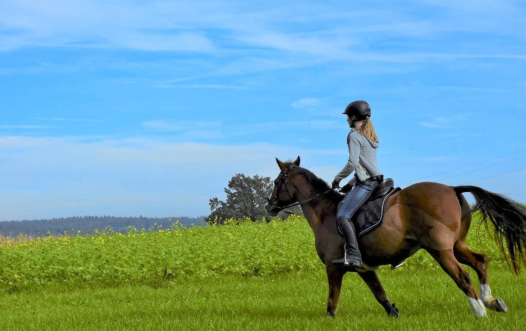 ride-4564859_1280.jpg