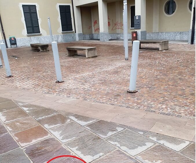 deiezioni_municipio.jpg