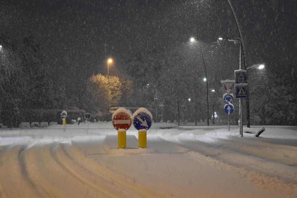 NIK_0069_web.jpg