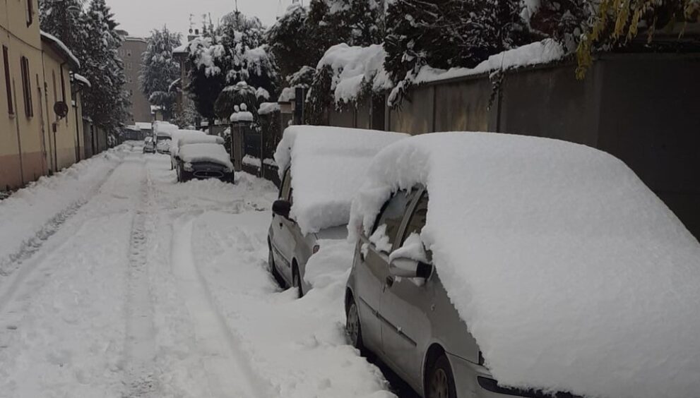 NEVE VIMERCATE.jpeg