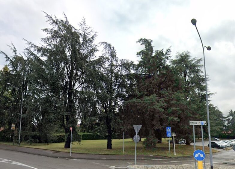 cimitero_campo.jpg