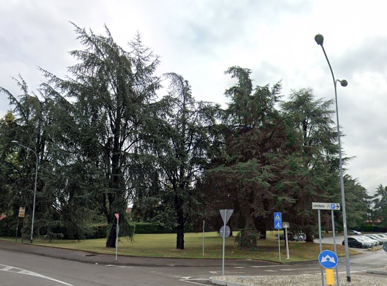 cimitero_campo.jpg