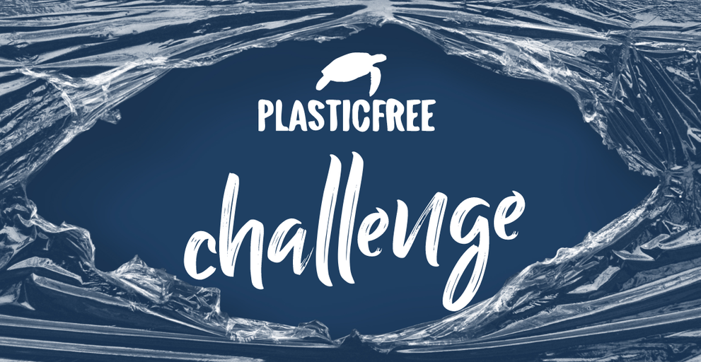 plastic_free.png