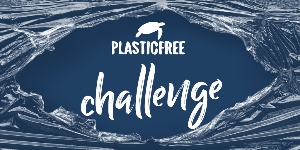 plastic_free.png