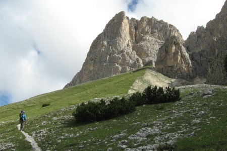 image_450.jpg