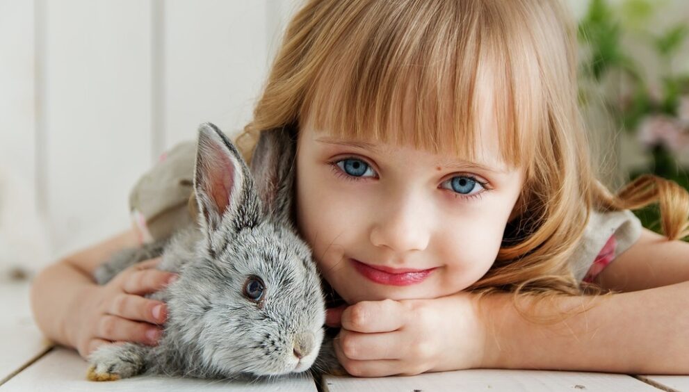 rabbit-g2c95ecd5b_1280.jpg
