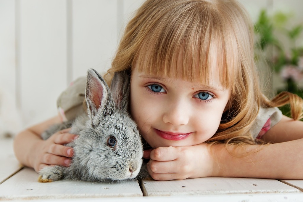 rabbit-g2c95ecd5b_1280.jpg
