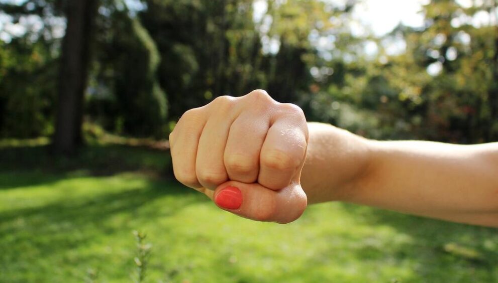 fist-bump-1195446_1920.jpg