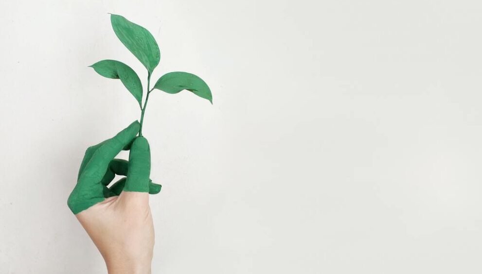 Tutti i simboli del green.jpg