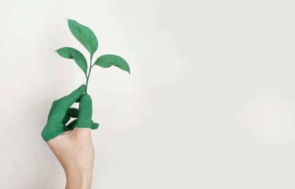 Tutti i simboli del green.jpg