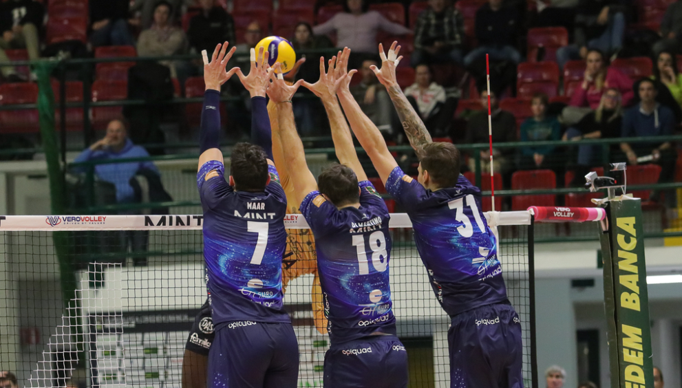 muromaardimartinoszwarc.png